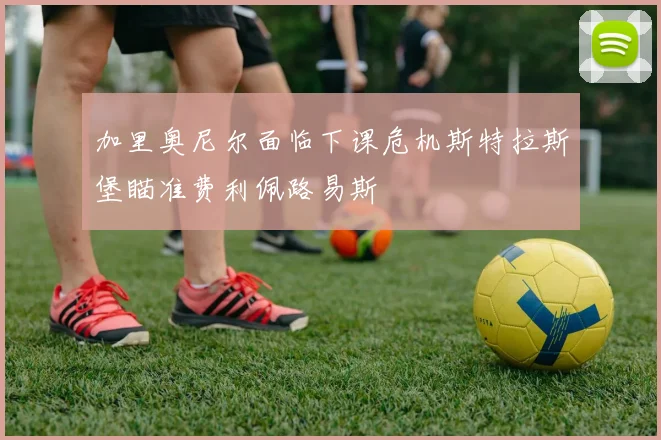 加里奥尼尔面临下课危机斯特拉斯堡瞄准费利佩路易斯