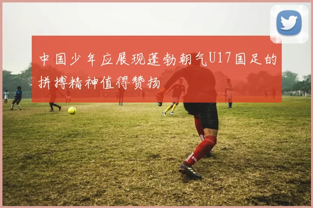 中国少年应展现蓬勃朝气U17国足的拼搏精神值得赞扬